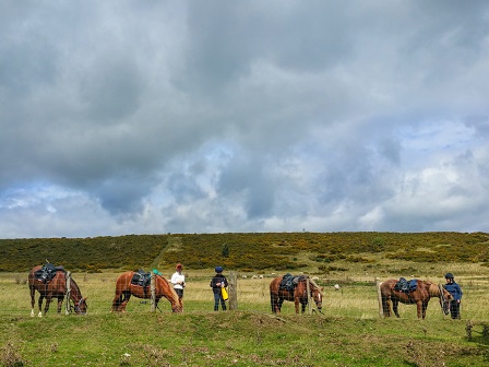 Three Day Welsh Border Trail 